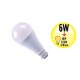 Ampoule à LED Globe - Culot B22 - 6W Equivalence 40W - 2700K - A+