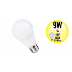 Ampoule à LED Globe - Culot E27 - 9W Equivalence 60W - 4000K - A+