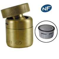 Mousseur orientable F22x100 Bronze - Aéré - NF - Rotule femelle